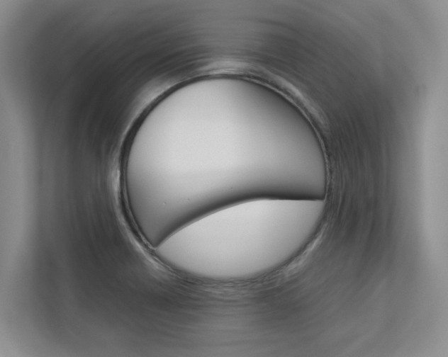 X0000113041418200908271025