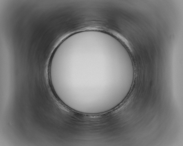 X0000113041423200908271025