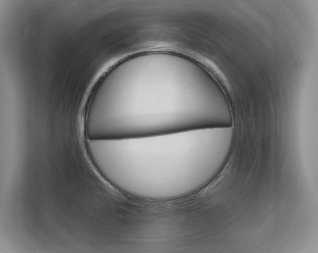 X0000113041424200908271025