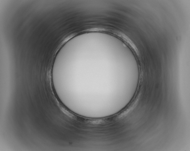 X0000113041425200908271025