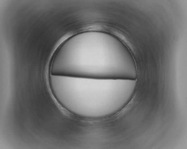 X0000113041426200908271025