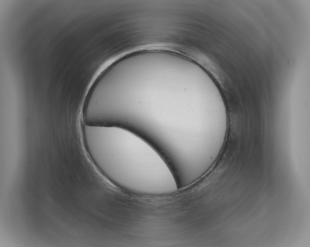 X0000113041428200908271025