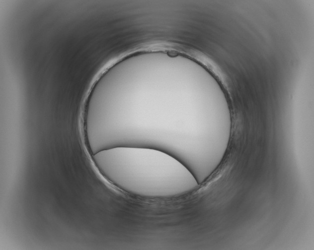 X0000113041429200908271025