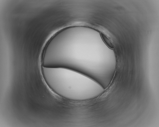 X0000113041430200908271025