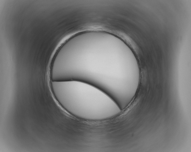 X0000113041432200908271025