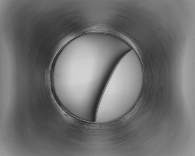 X0000113041434200908271025
