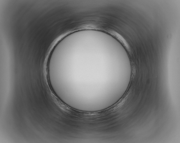 X0000113041435200908271025
