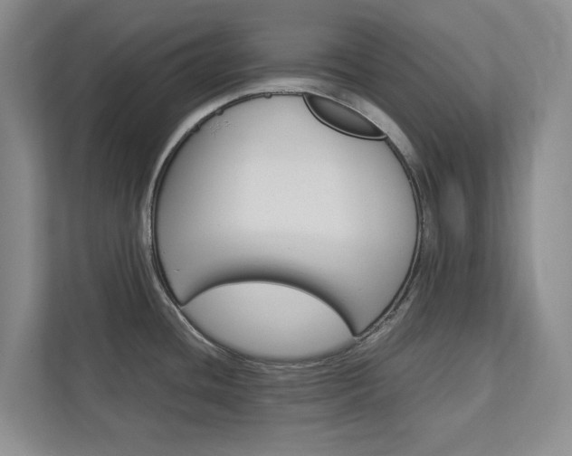 X0000113041436200908271025