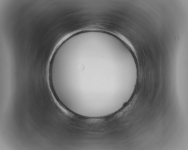 X0000113041437200908271025