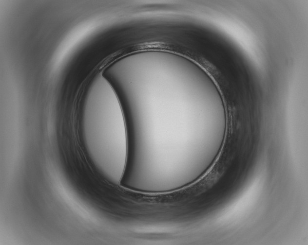 X0000113041438200908271025