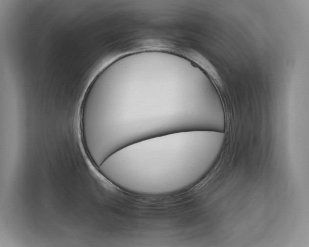 X0000113041439200908271025