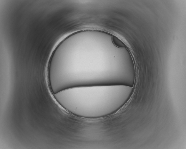 X0000113041440200908271025
