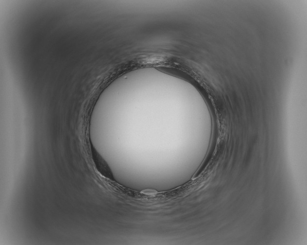 X0000113041441200908271025