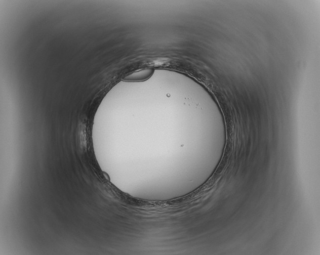 X0000113041442200908271025