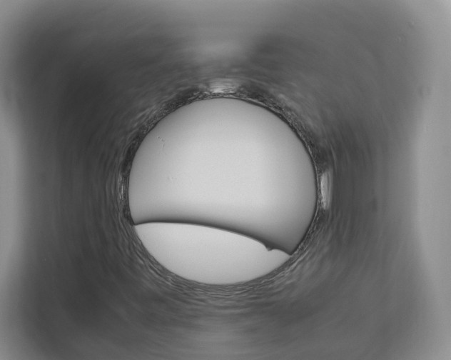 X0000113041443200908271025