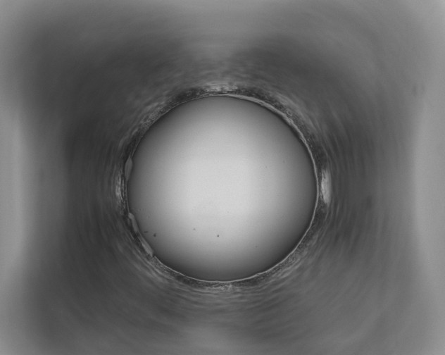 X0000113041444200908271025