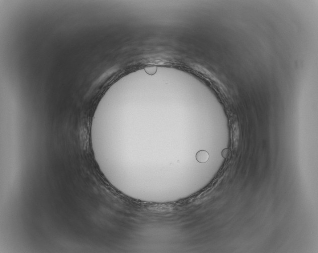 X0000113041446200908271025
