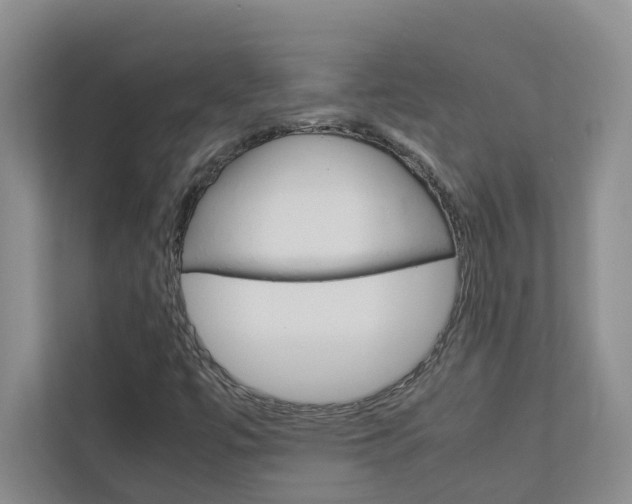 X0000113041447200908271025