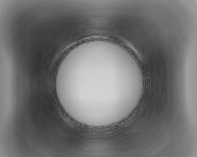 X0000113041448200908271025