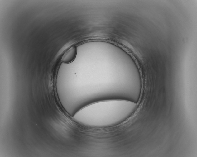 X0000113041450200908271025