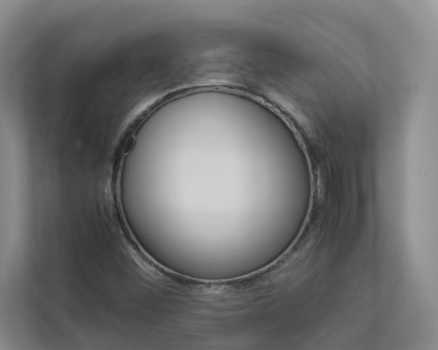 X0000113041452200908271025