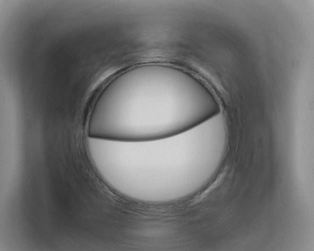 X0000113041453200908271025