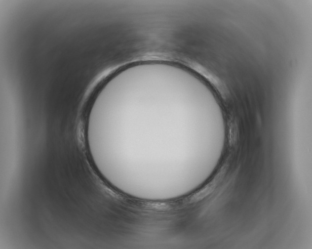 X0000113041454200908271025
