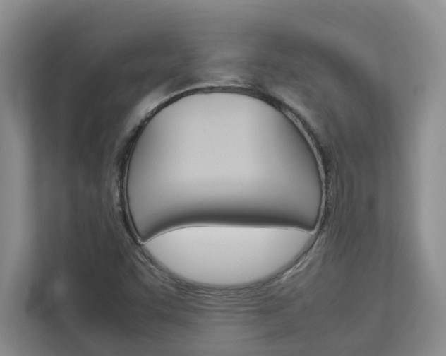 X0000113041455200908271025