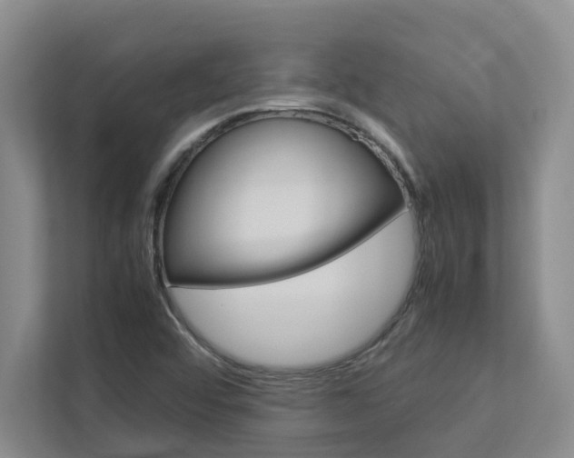 X0000113041456200908271025