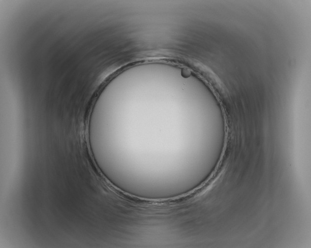 X0000113041457200908271025