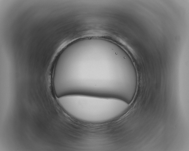 X0000113041459200908271025