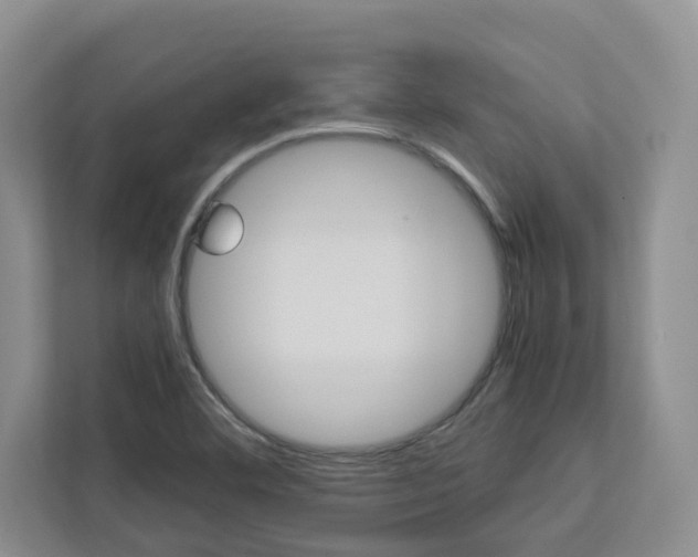 X0000113041460200908271025
