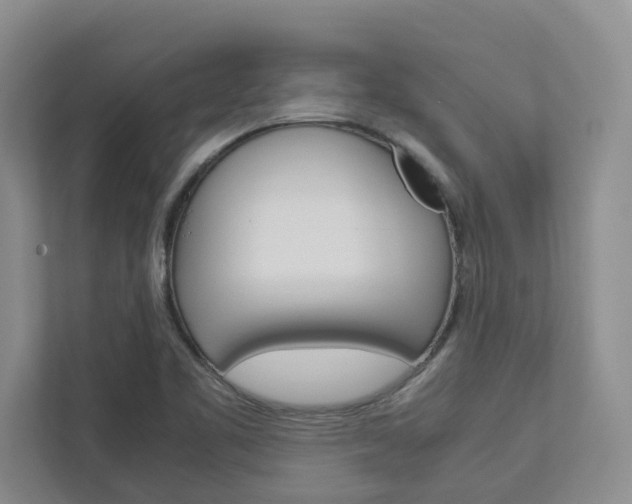 X0000113041461200908271024