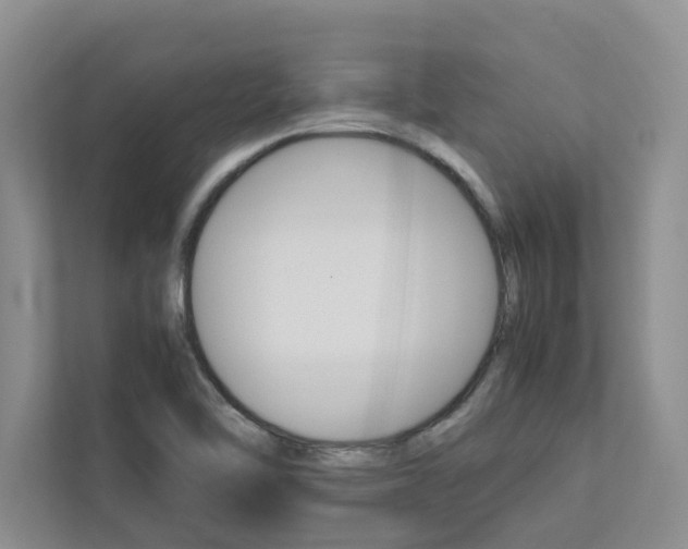 X0000113041462200908271024