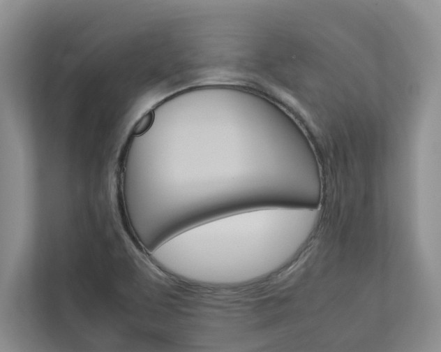 X0000113041463200908271024