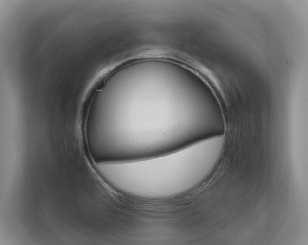 X0000113041464200908271024