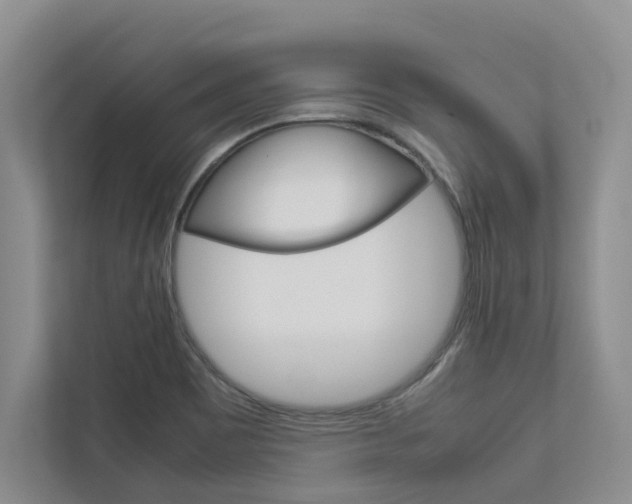 X0000113041465200908271024