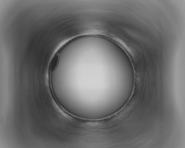 X0000113041468200908271024