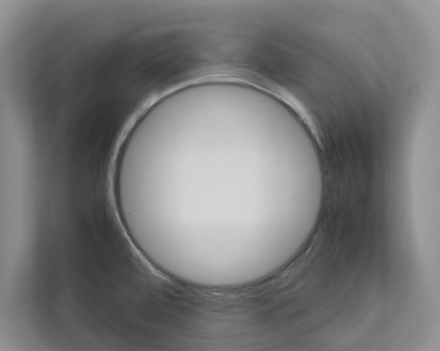 X0000113041472200908271024