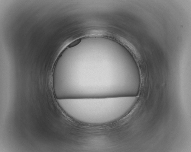 X0000113041473200908271024