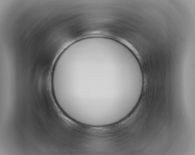 X0000113041474200908271024