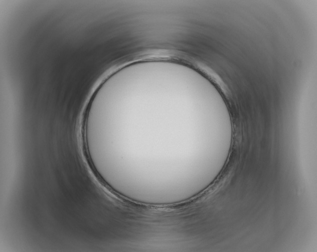 X0000113041475200908271024