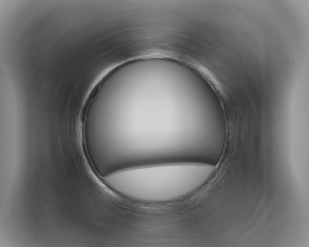 X0000113041476200908271024