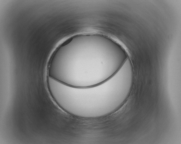X0000113041477200908271024
