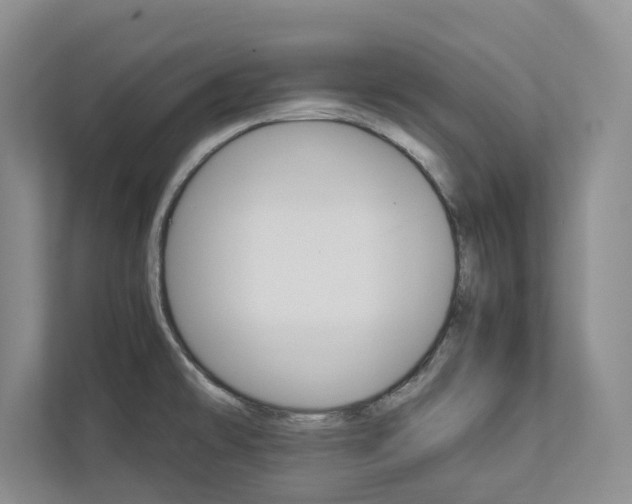 X0000113041478200908271024