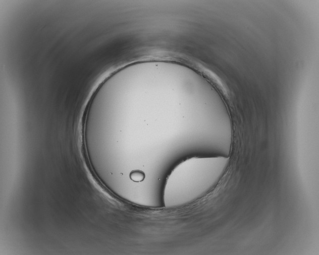 X0000113041479200908271024