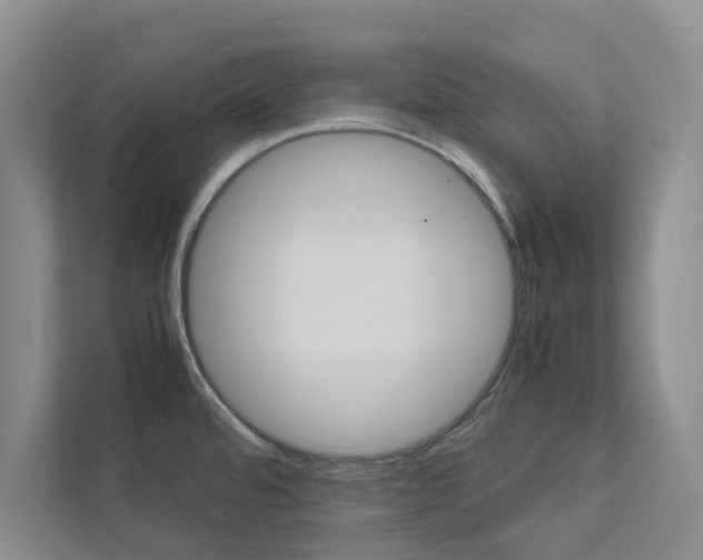 X0000113041480200908271024