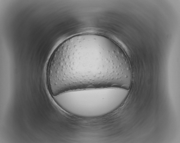 X0000113041483200908271024