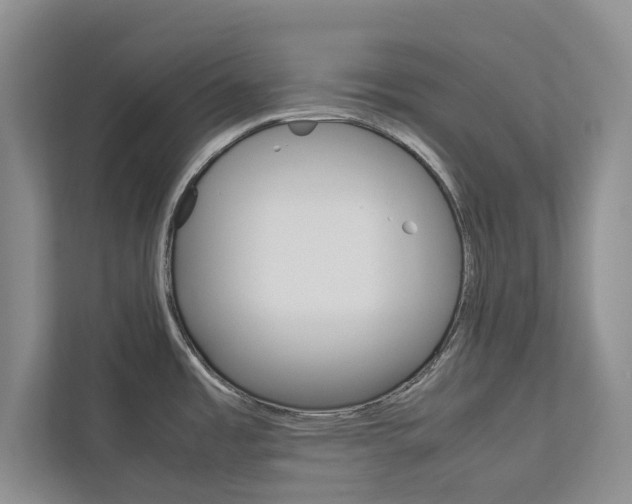 X0000113041485200908271024