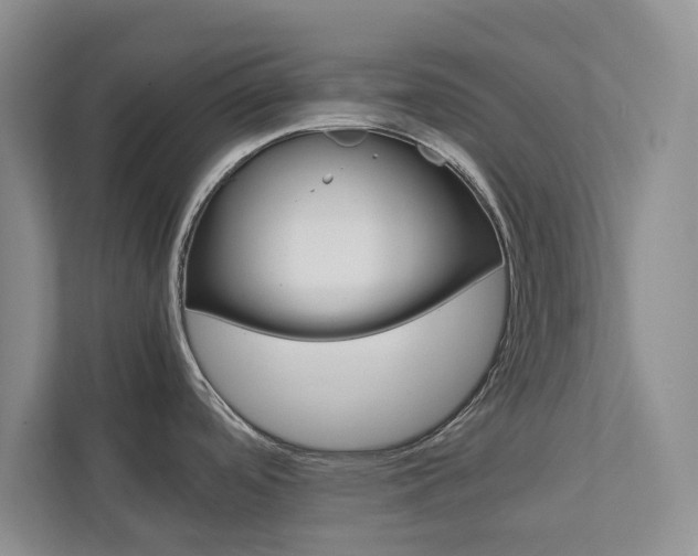 X0000113041488200908271024